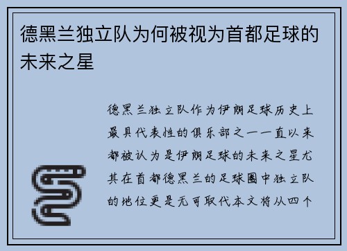 德黑兰独立队为何被视为首都足球的未来之星 德黑兰独立队为何被视为首都足球的未来之星